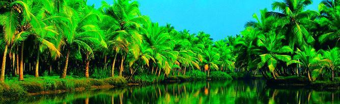 Chaandhni Lake View Hotel Alappuzha Eksteriør billede